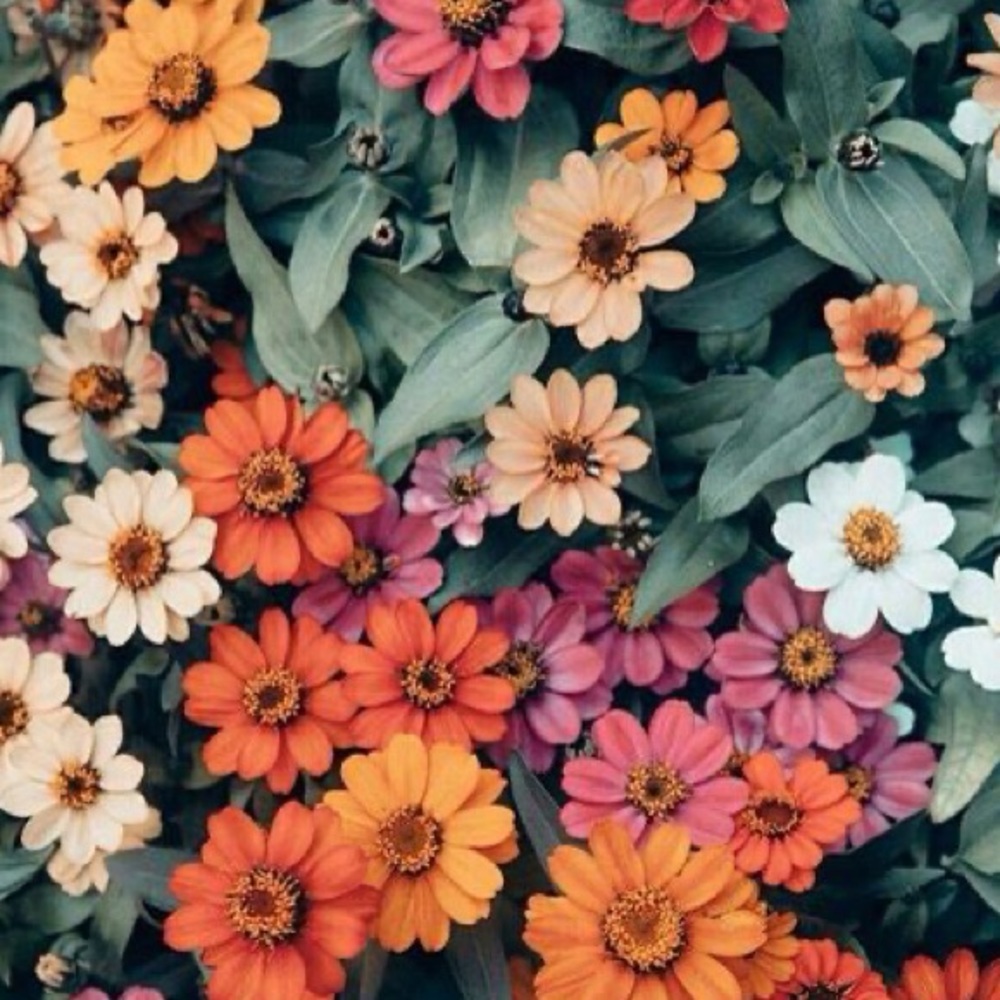 ONLY SHIPPING OUT ONCE A WEEK💐